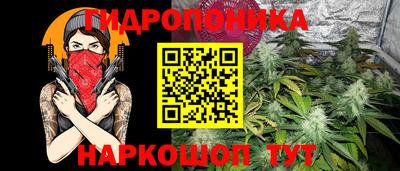 мдма Камышлов
