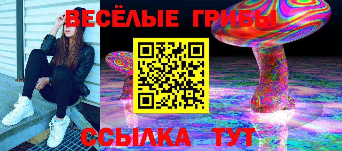 Псилоцибиновые грибы прущие грибы Лобня
